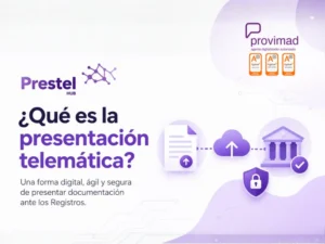 que es la presentacion telematica en el Registro